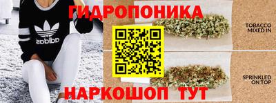 мяу мяу мука Пушкино