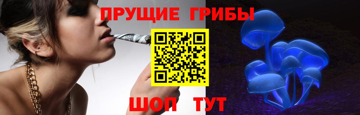 Галлюциногенные грибы мухоморы Спасск-Дальний